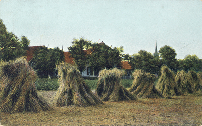 8001 Gezicht op een rij korenschoven op een roggeveld bij Baarn.